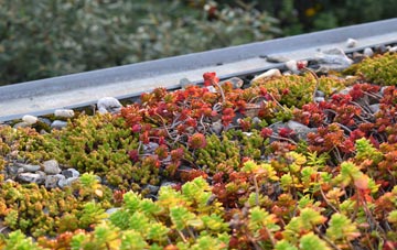 the cost of Woodbastwick green roof installation