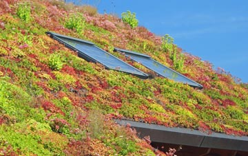 Woodbastwick living roof systems